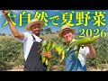 夏野菜と大自然が最高すぎる 2026ver.