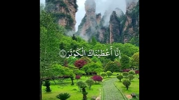 سورة الكوثر (إِنَّا أَعْطَيْنَاكَ الْكَوْثَرَ) بصوت القارئ عبدالرحمن مسعد تلاوة خاشعة