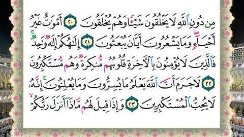 سورة النحل الحصرى المعلم