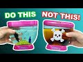 10 essential seamonkey tips for beginners