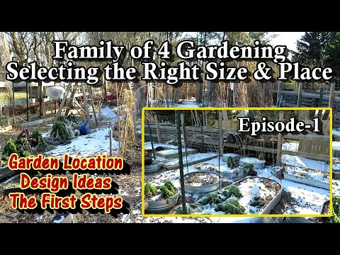 Family of 4 Vegetable Gardening E-1: Picking the &rsquo;Right&rsquo; Spot & Size for Your First Family Garden