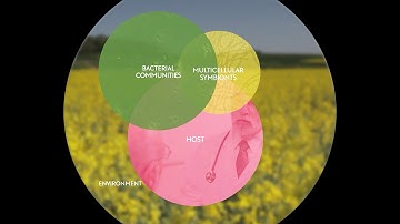 Origin and Function of Metaorganisms
