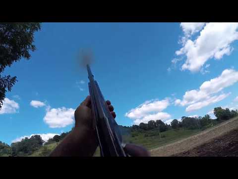 First Doves 2017