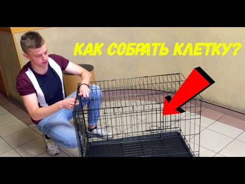 КЛЕТКИ СПБ РФ / КАК СОБРАТЬ КЛЕТКУ ДЛЯ СОБАК?!