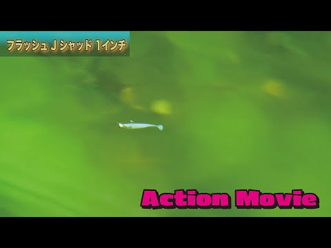 Flash-J Shad 1" 　水中アクション動画