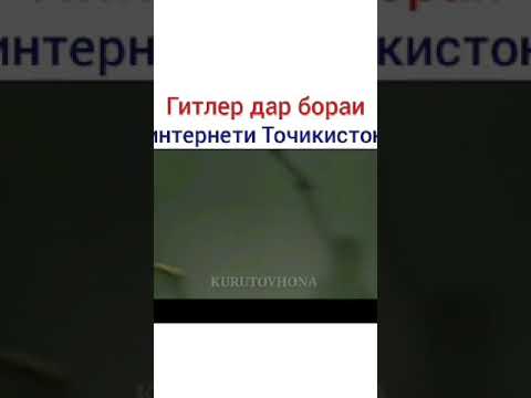Таджик приколы