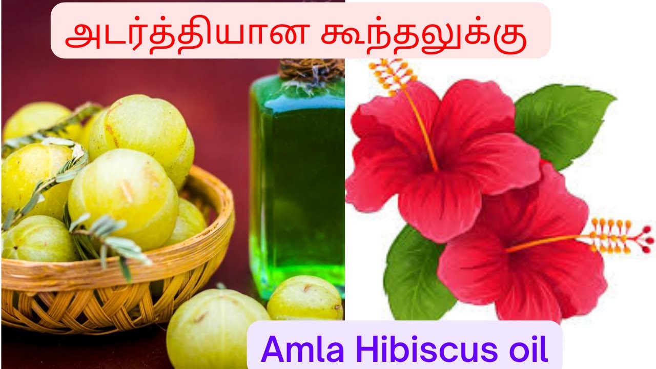 நெல்லிக்காய் செம்பருத்தி Oil in Tamil / Amla Hibiscus Oil / அடர்த்தியான