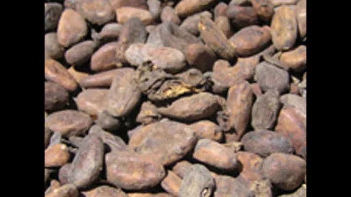Cocoa and Chocolate by Arthur William KNAPP read b...