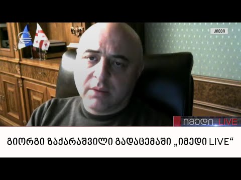 საქართველოს ელჩი უკრაინაში გიორგი ზაქარაშვილი გადაცემაში „იმედი LIVE“