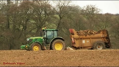 Spreading Fodder Beet for the Sheep.  With a Muck-Spreader!  John Deere action!