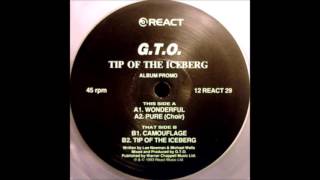 GTO - Tip Of The Iceberg (1993) - YouTube