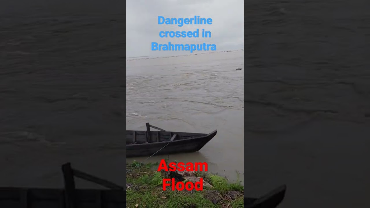 Assam Flood l Brahmaputra l 