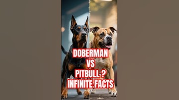 Doberman vs Pitbull – The Speed vs The Strength -INFINITE FACTS #shorts #dogs #dogshorts #dog