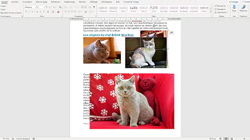 Comment regrouper des images sur Word ?