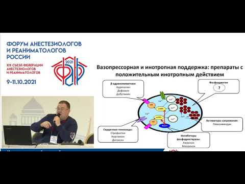 Ионизированный кальций в анализах ОРИТ Афончиков В.С.