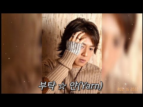 부탁 ☆ 얀 (Yarn)