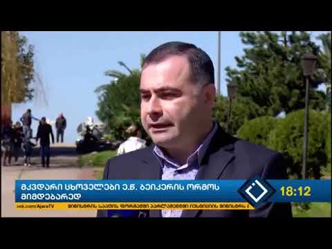 კახა გუჩმანიძე - ე.წ. ბეიკერის ორმოსთან მკვდარი ცხოველები ტომრებით ღია ცის ქვეშ ყრია