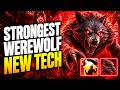 NEW WEREWOLF BUILD IS ABSURD! MOST OP DRUID BUILD YET? Path of Exile 2 Druid Build (NEW META)