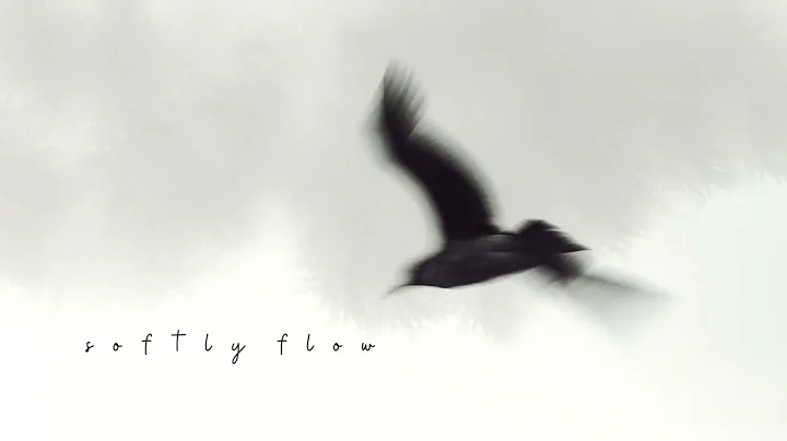 s o f t l y  f l o w