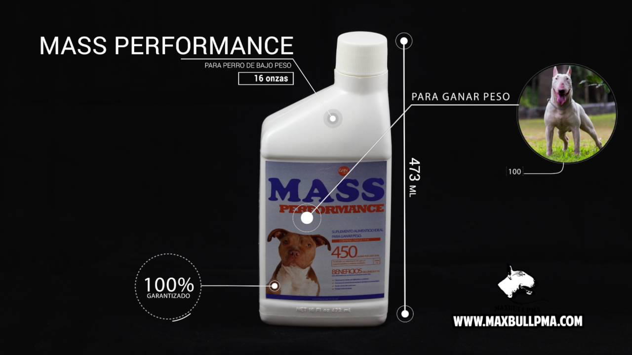 Como Hacer Que Un Perro Gane Masa Muscular