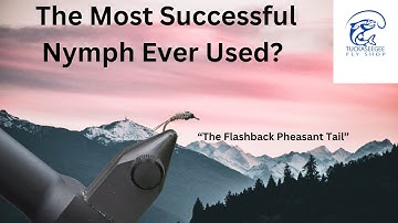 The Most Successful Nymph Ever Used? The Flashback Pheasant Tail