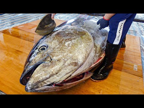 Cara Memotong Daging Tuna