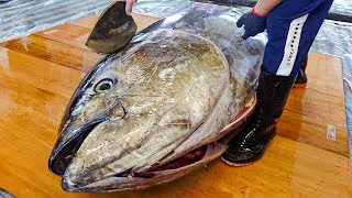 How to Quickly Cut a Bluefin Tuna in 5 Minute? / 5分鐘切割巨大黑鮪魚, 金三角拼盤, 蜂巢黑鮪魚 [ASMR]