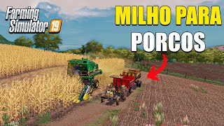 A fazenda abandonada | Iniciando a colheita do milho | Farming Simulator 19