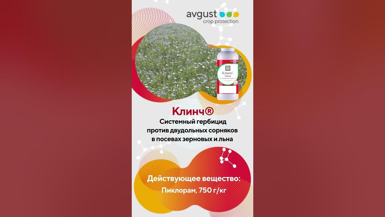 🔴 Клинч - системный гербицид против двудольных сорняков в посевах ...