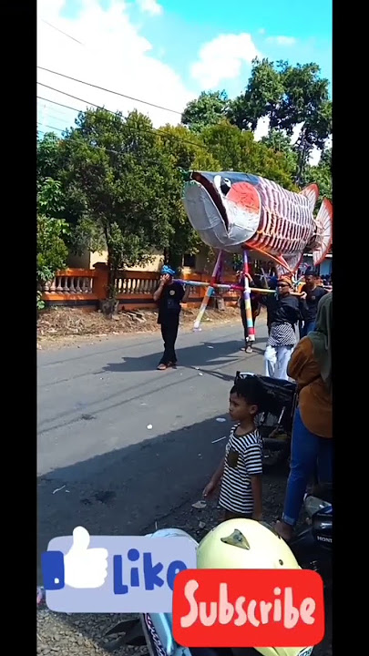 ikan arwana gede mengikuti #karnafal 5 orang yg membawnya