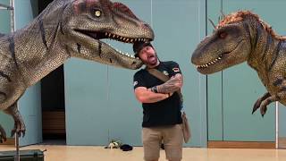 Dinomania 2020. The Dinosaur show not to be missed
