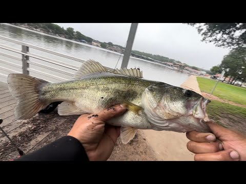 Bass fishing Top Water is Here ,Failed Ending