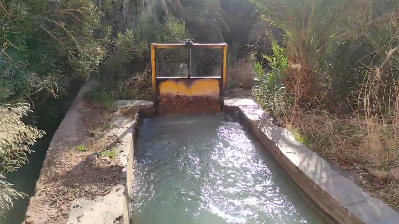 شاهد ... مياه سد الحسن الداخل بالرشيدية  تتدفق عبر السواقي لسقي الواحة 