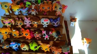 LPS: Adopted) Episode 14: Taking a stand