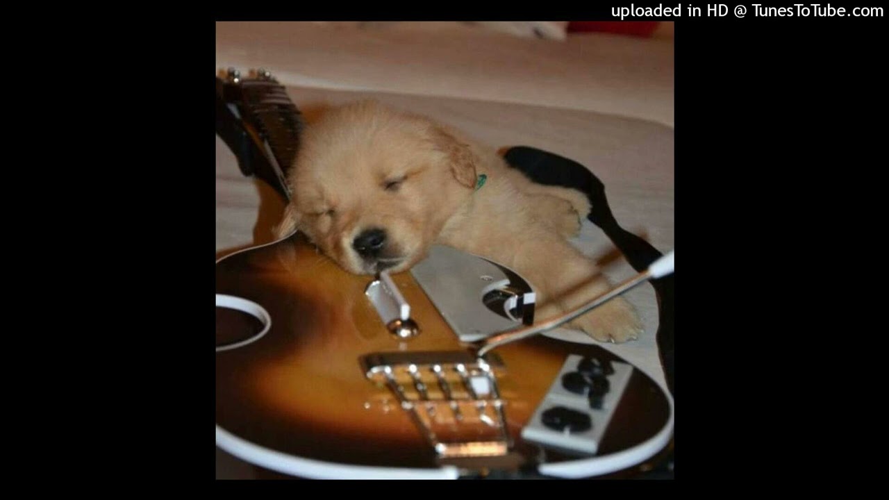 rexv2 + waera + wobble type beat "greed" @1lucaxo