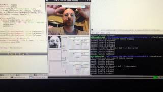 Face Tracking and Recognition