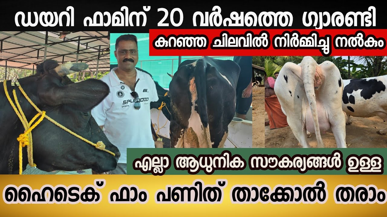 കുറഞ്ഞ ചിലവിൽ 20 വർഷത്തെ ഗ്യാരണ്ടിയിൽ ഡയറി ഫാം പണിഞ്ഞു തരാം Dairy farming malayalam 