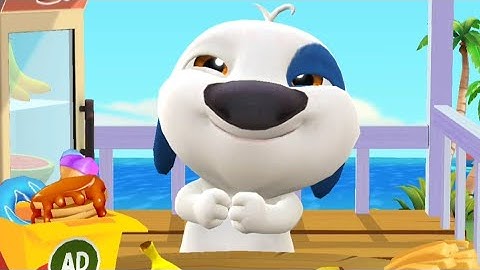 My Talking Hank Dog All Levels Gameplay Walkthrough Part #6 (Android,iOS)