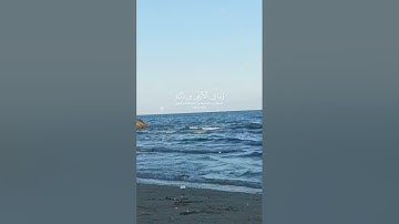 #اكسبلور #المصحف #kuran #حالات_واتس #دويتو #قران_كريم #kuranıkerim آيات قصيرة من القرآن حالات واتس