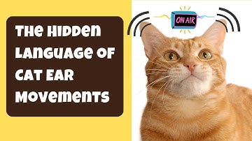 The Hidden Language of Cat Ear Movements: Decoding Feline Expressions