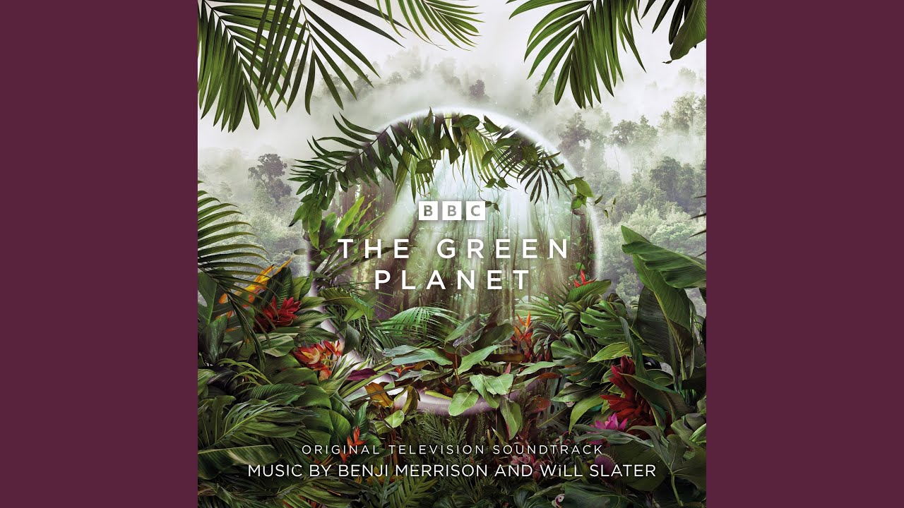 Watch Ancient Rainforest on YouTube Watch Ancient Rainforest on YouTube