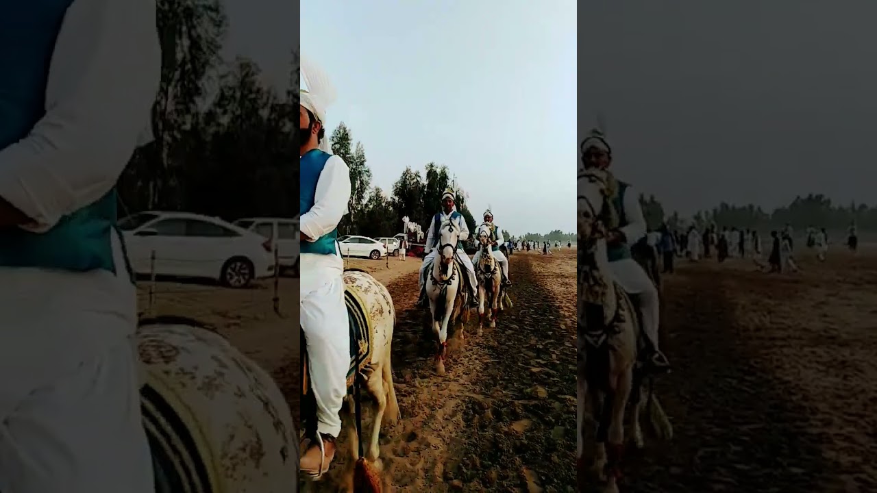 Neza Bazi 2023 / tent packing /horse for sale in pakistan /beautiful Neza Baz horse/ aminpur mandi /