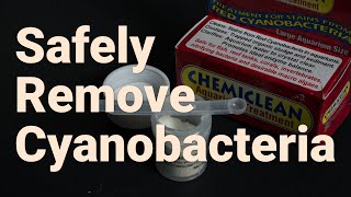 Safely Using Chemiclean in your Coral Reef Tank for Cyanobacteria