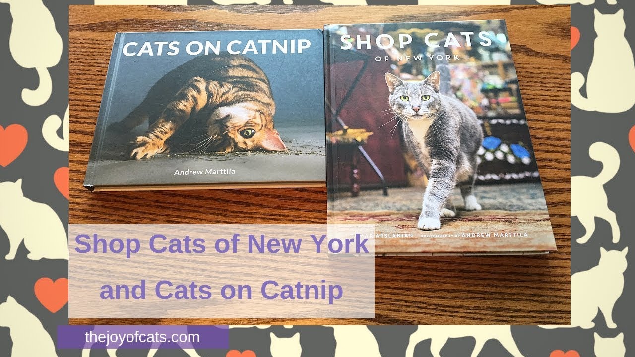 catnip shop