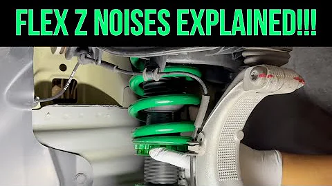 Why are my Tein Flex Z's making noise on my Tesla Model 3 and Model Y? Check description for the fix
