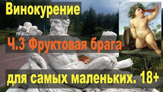 Винокурение для самых маленьких. Ч.3. Фруктово ягодная брага.