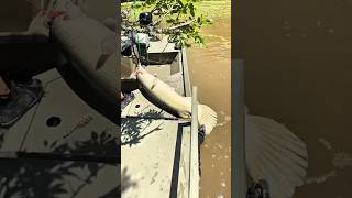 Pani ke andar se nikla ek khatarnak Monster! 😱🐊 #shorts #fishing #fishingtutorial #fish #villagelife