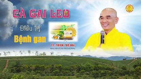 Huệ Đà Giải Độc Gan - Cà Gai Leo #TT. Thích Tuệ Hải - Khai Tâm Dưỡng Sinh