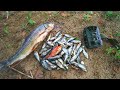 Trail Camera: Pile of Fish on a Riverbank!