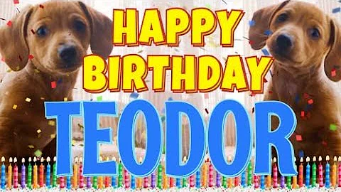 Happy Birthday Teodor! ( Funny Talking Dogs ) What Is Free On My Birthday